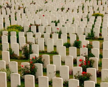 medinter-noticia-morbimortalidad